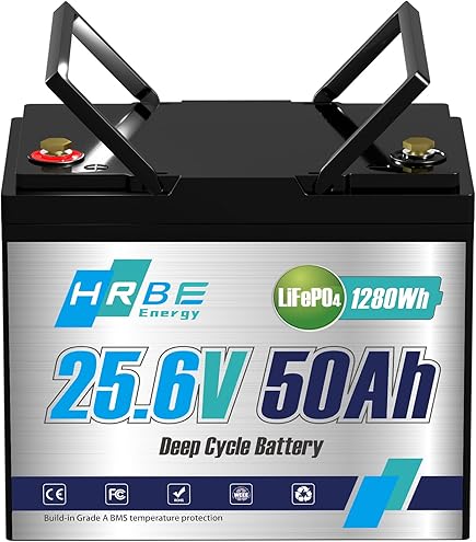 Amazon.com: FLLYROWER 24V Lithium Battery 60AH With BMS and 16500
